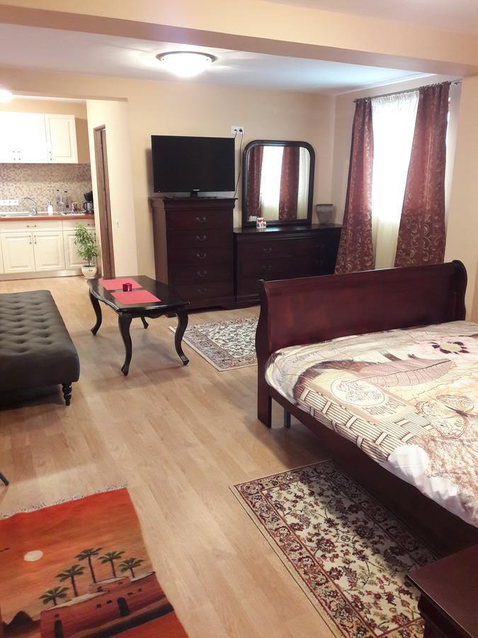 סיביו Bogdan'S Apartment מראה חיצוני תמונה